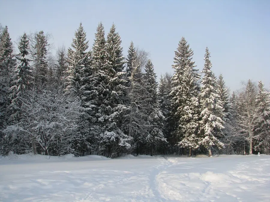 Прогноз погоды на декабрь в Москве и Сибири.