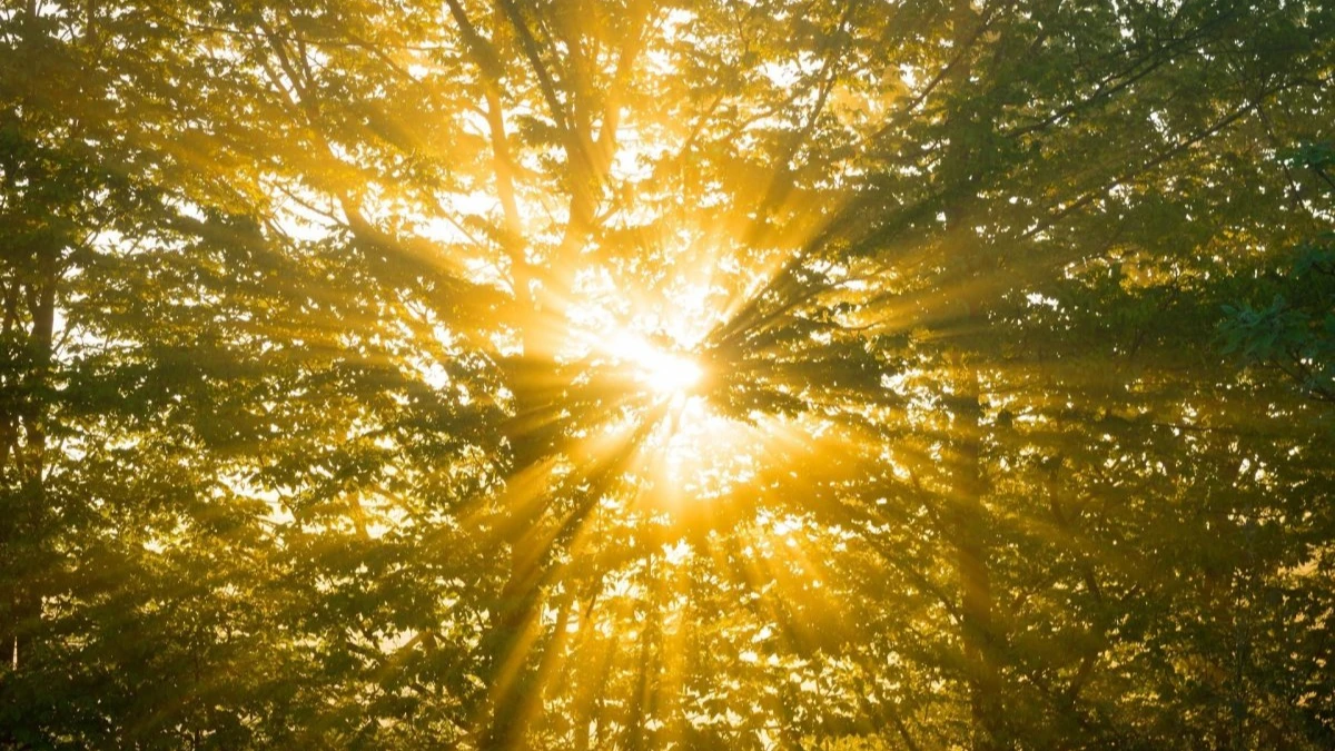 Солнце выбрасывает бесконечные потоки плазмы. Фото: pxhere.com