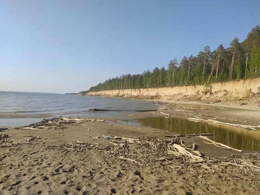 В Бердске и Новосибирске частники захватили берега Обского моря