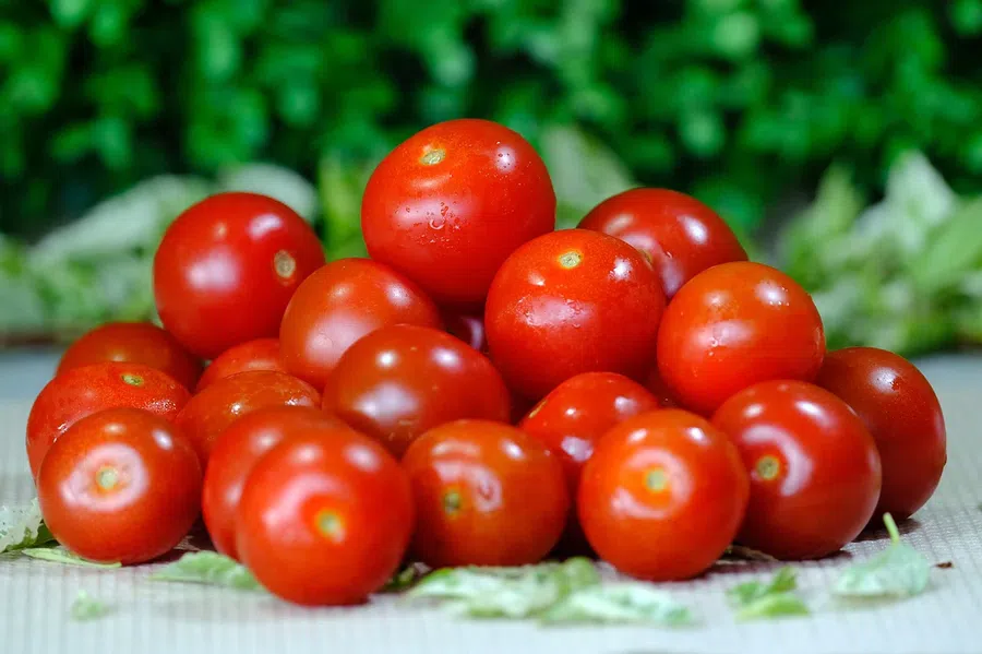 Лунный календарь на рассаду и высадку томатов в марте 2022 года