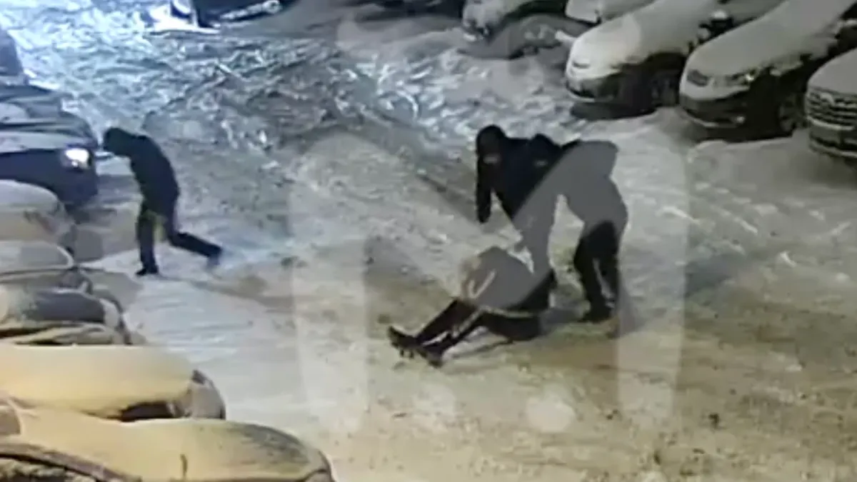 «Стой, убью!»: группа друзей жестоко избила водителя, который их «подрезал» на дороге - видео