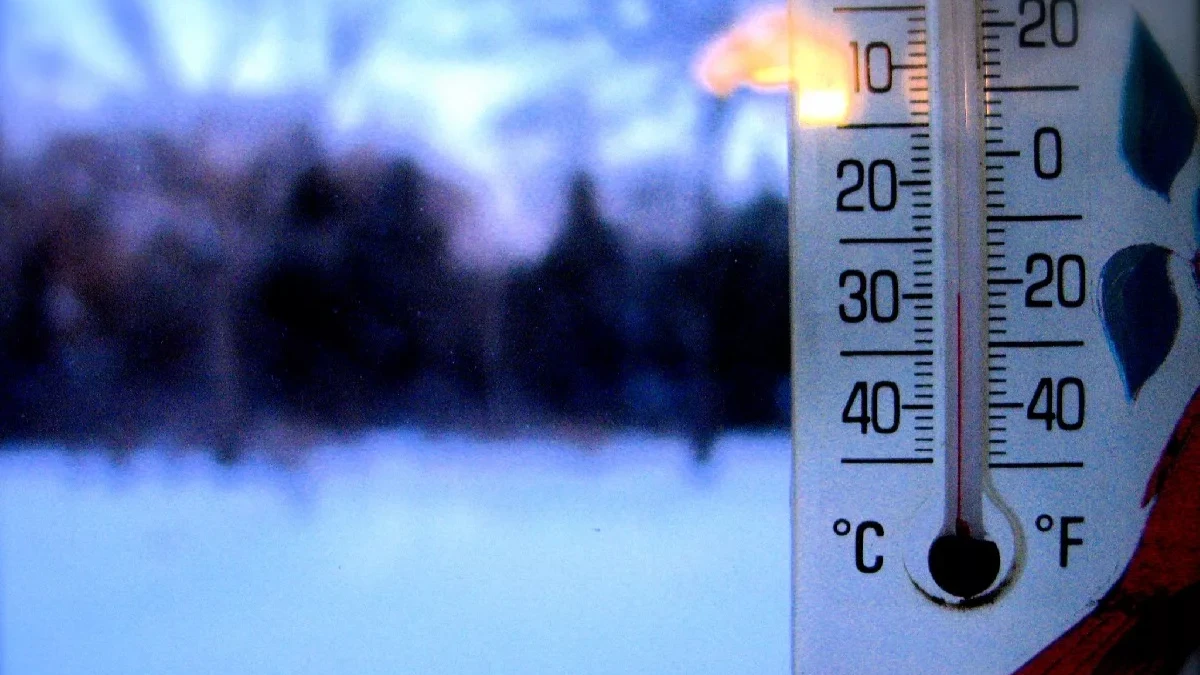 Арктика накроет всю Россию: холодный декабрь ожидает страну – погода на месяц в Москве, Петербурге, Сибири, Урале 