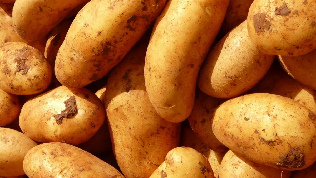 Картофель является одним из «худших» растительных продуктов для профилактики рака. Фото: Pxhere.com