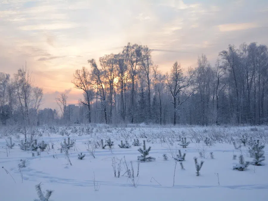 В некоторых регионах России ожидается аномальное похолодание. Фото: Pxfuel.com