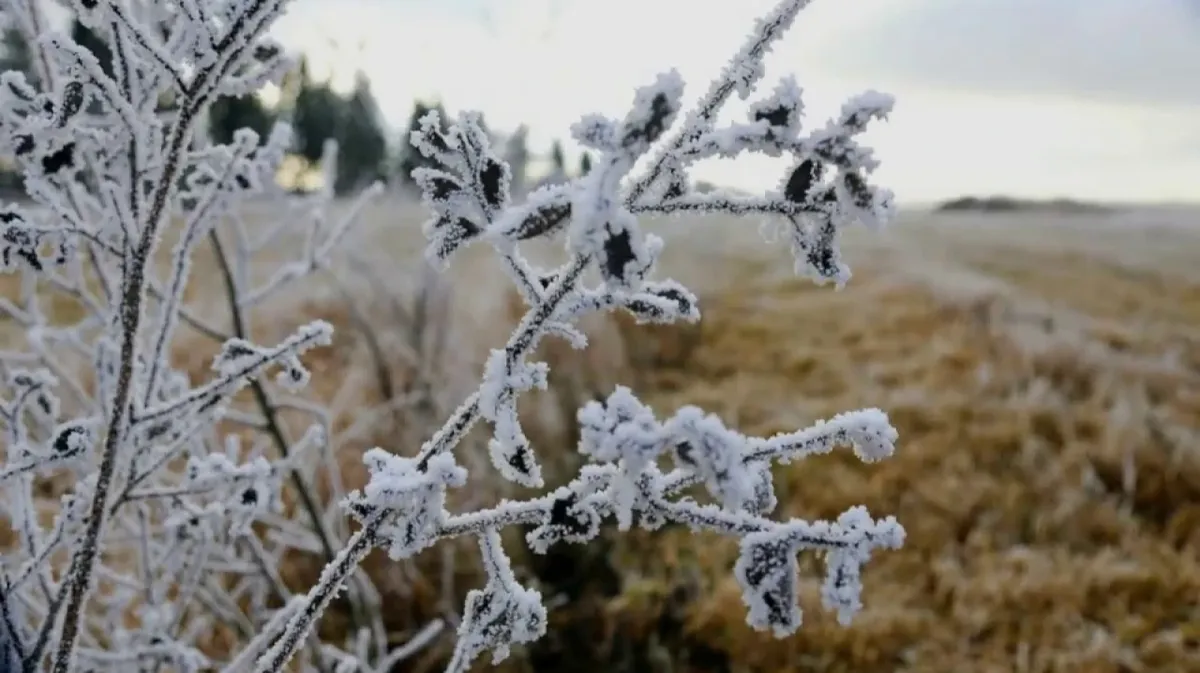 После 12 ноября 2022 года Зима вступает в свои права в Сибири: сибиряков ожидают прочный минус и снег – прогноз по регионам 