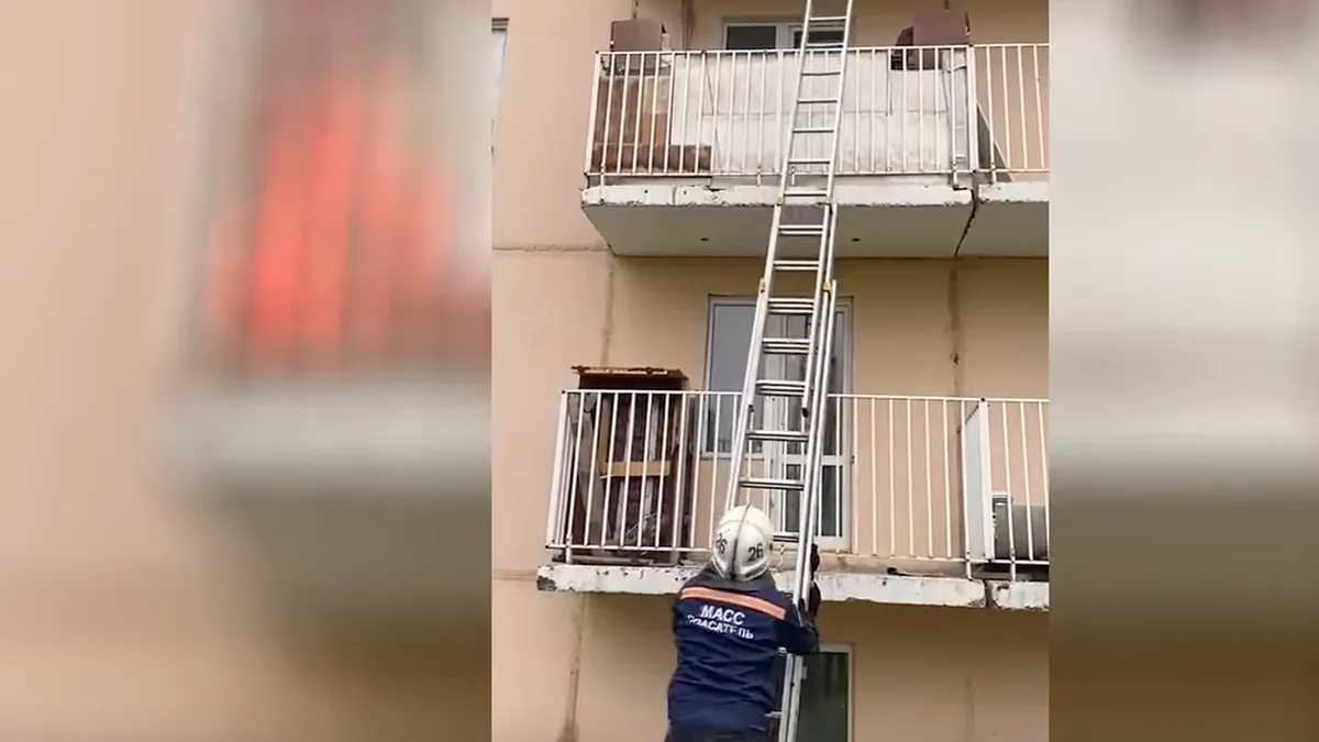 В Новосибирске собака заперла хозяйку на балконе. Потребовалась помощь спасателей