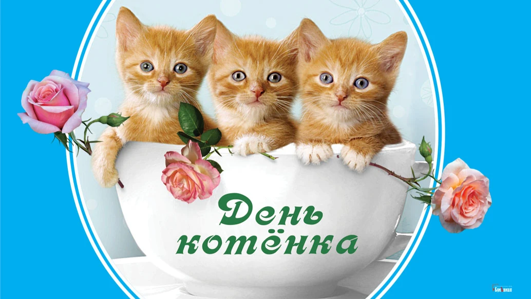 Мурлычные поздравления в открытках для россиян в День котенка 10 июля