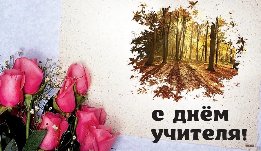 Прекрасные картинки на День учителя 5 октября и добрые слова всем педагогам России