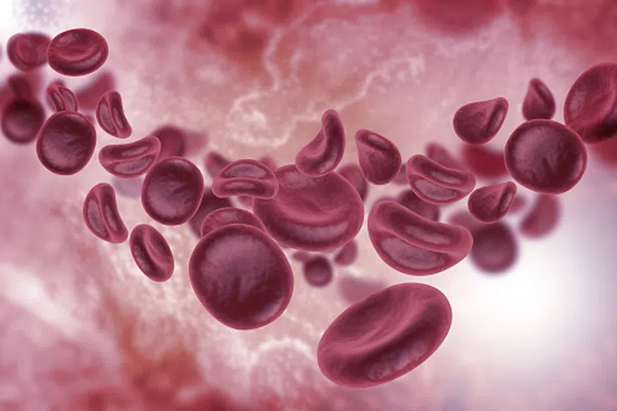Тромбоциты и свертывание крови: что они еще делают в нашем организме, кроме тромбов