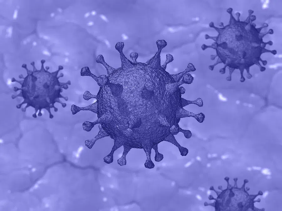 Бельгия обнаружила первый случай заражения коронавирусом с 32 мутациями из Южной Африки: привез турист
