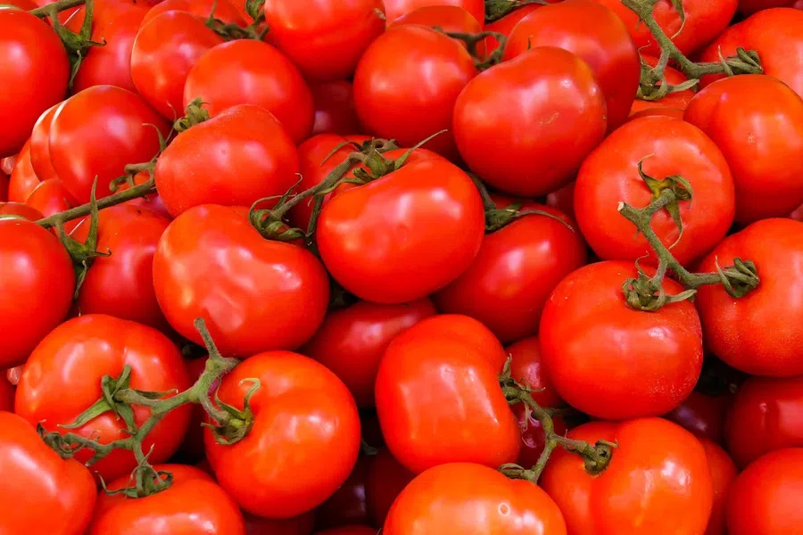 Пикировка рассады томатов по лунному календарю в апреле 2022 года. Что такое пикировка и как правильно пикировать