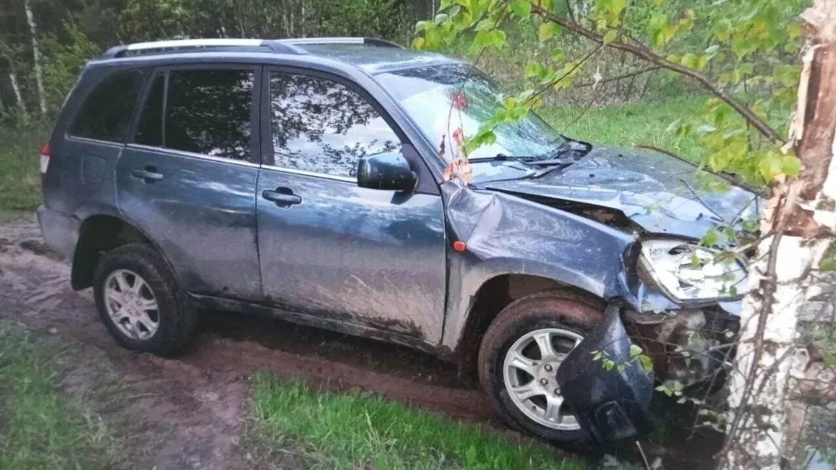 В Нижегородской области пьяная водитель Vortex Tingo сбила насмерть двух школьниц. Одна скончалась на месте ДТП