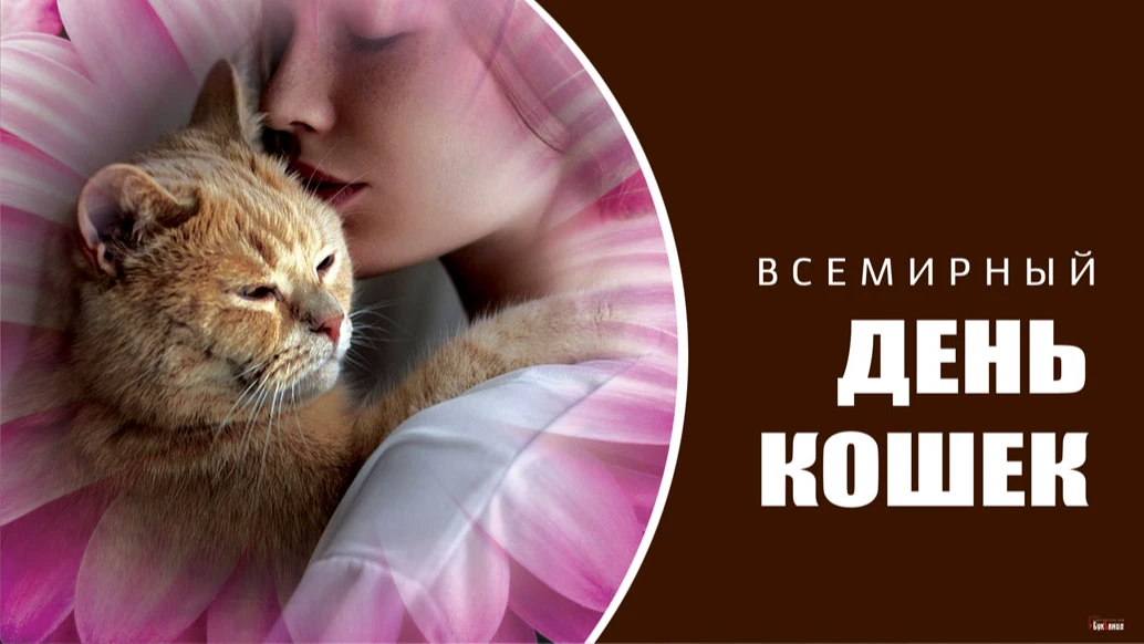 Мурлычные красивые открытки и добрые стихи в Всемирный день кошек для россиян 8 августа