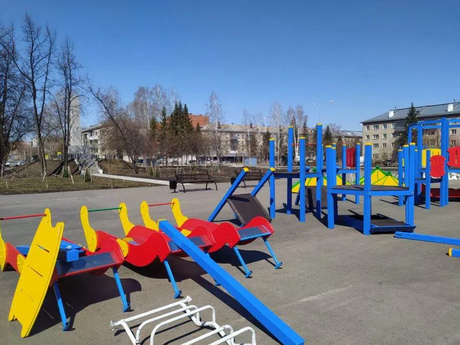 Инцидент произошел в парке Бердска