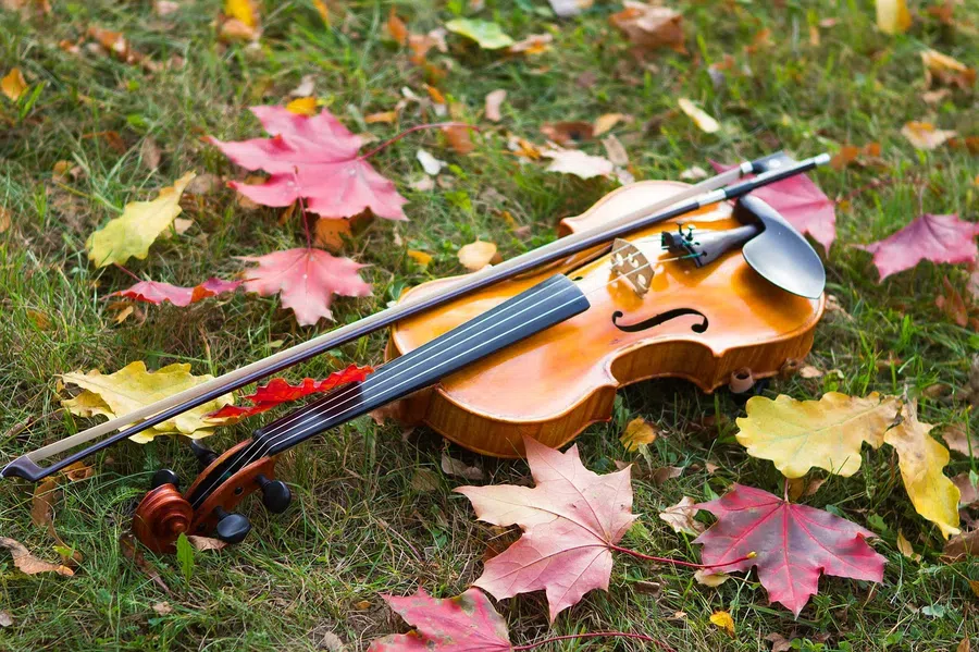 День скрипки: мелодичные поздравления для виртуозов смычка 13 декабря