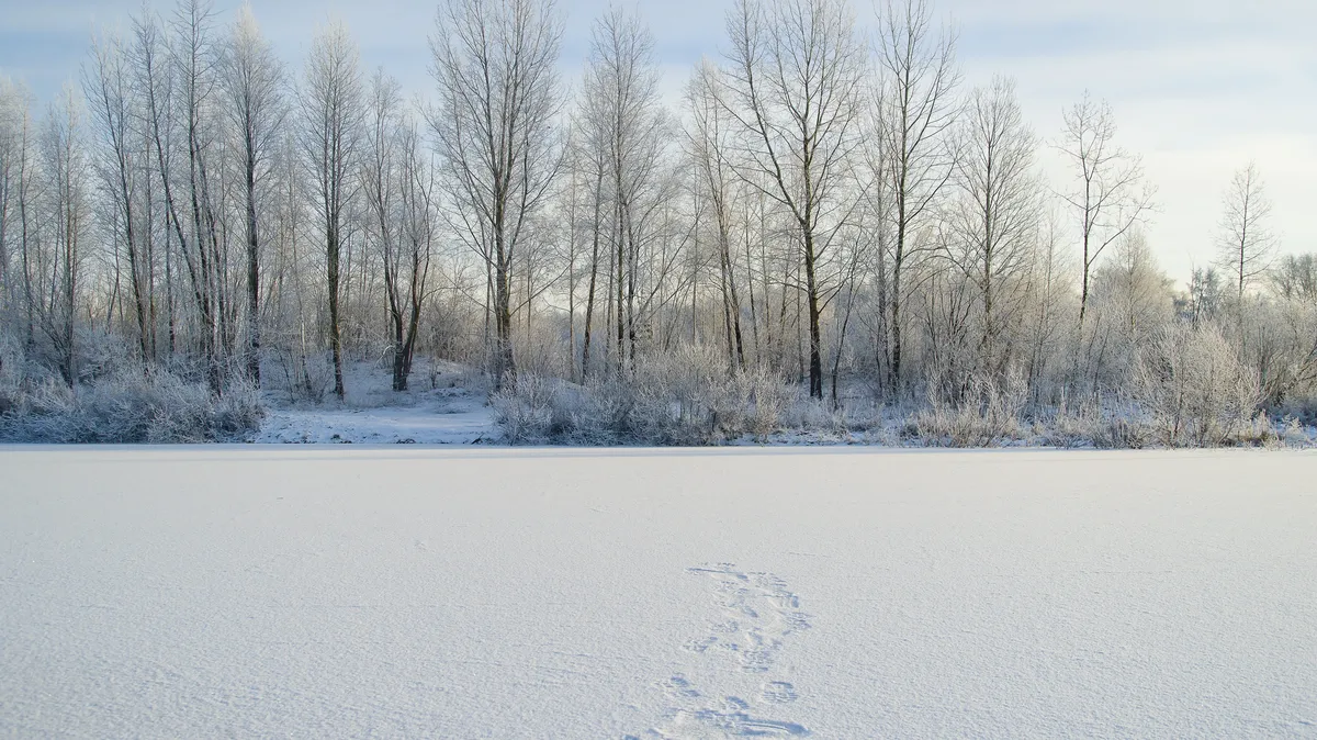 Во многих городах Сибири ноябрь ассоциируется с началом зимы. Фото: Pxfuel.com
