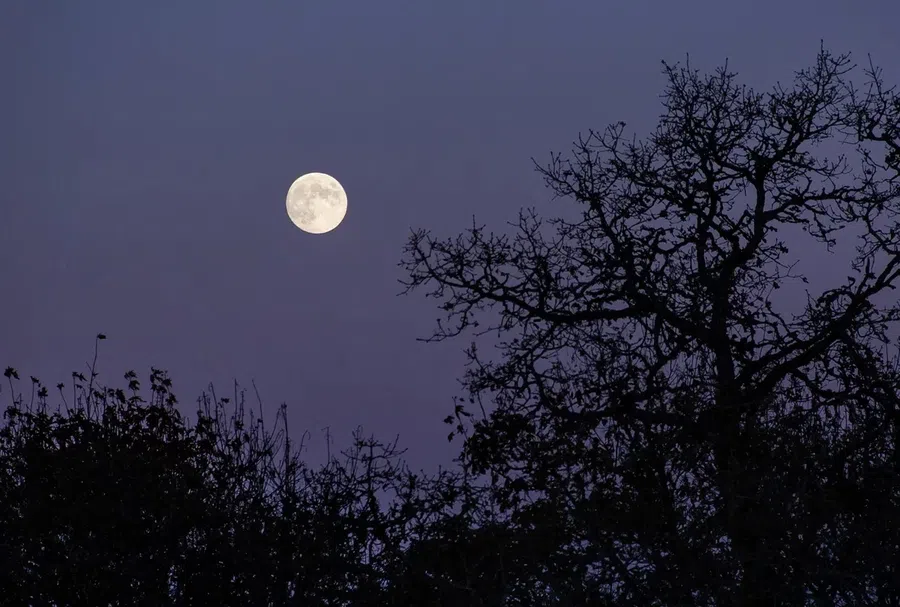 Что каждый должен успеть сделать в первое полнолуние осени 21 сентября 2021 года: луна в знаке Овна