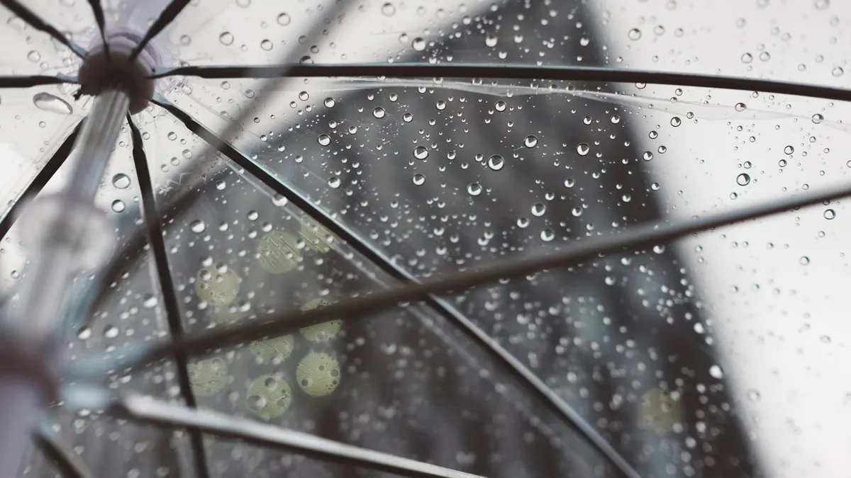 «Без зонтов лучше не выходить» В Москве в ближайшие дни ожидаются дожди и снижение температуры