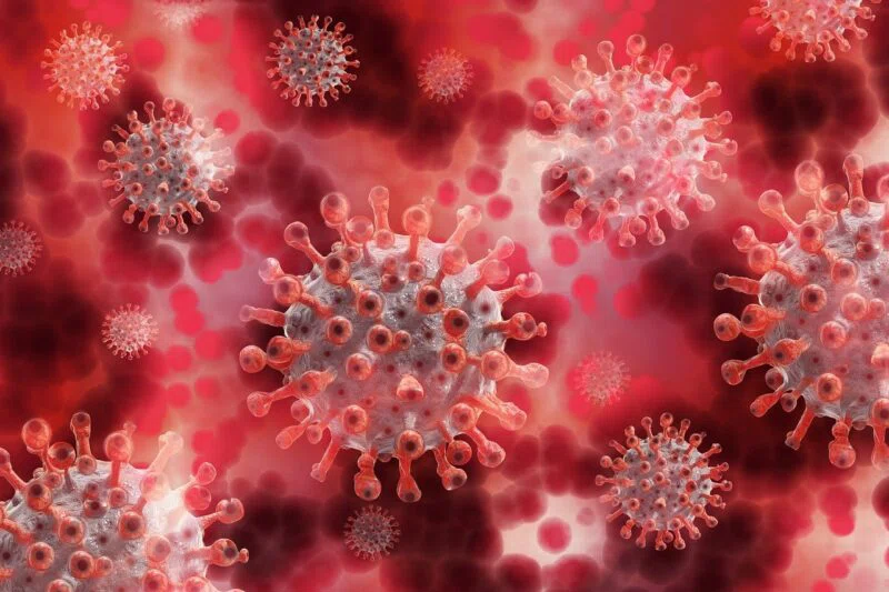 Почему коронавирус мутирует и природная ли это болезнь, ответила профессор России Елена Терешина