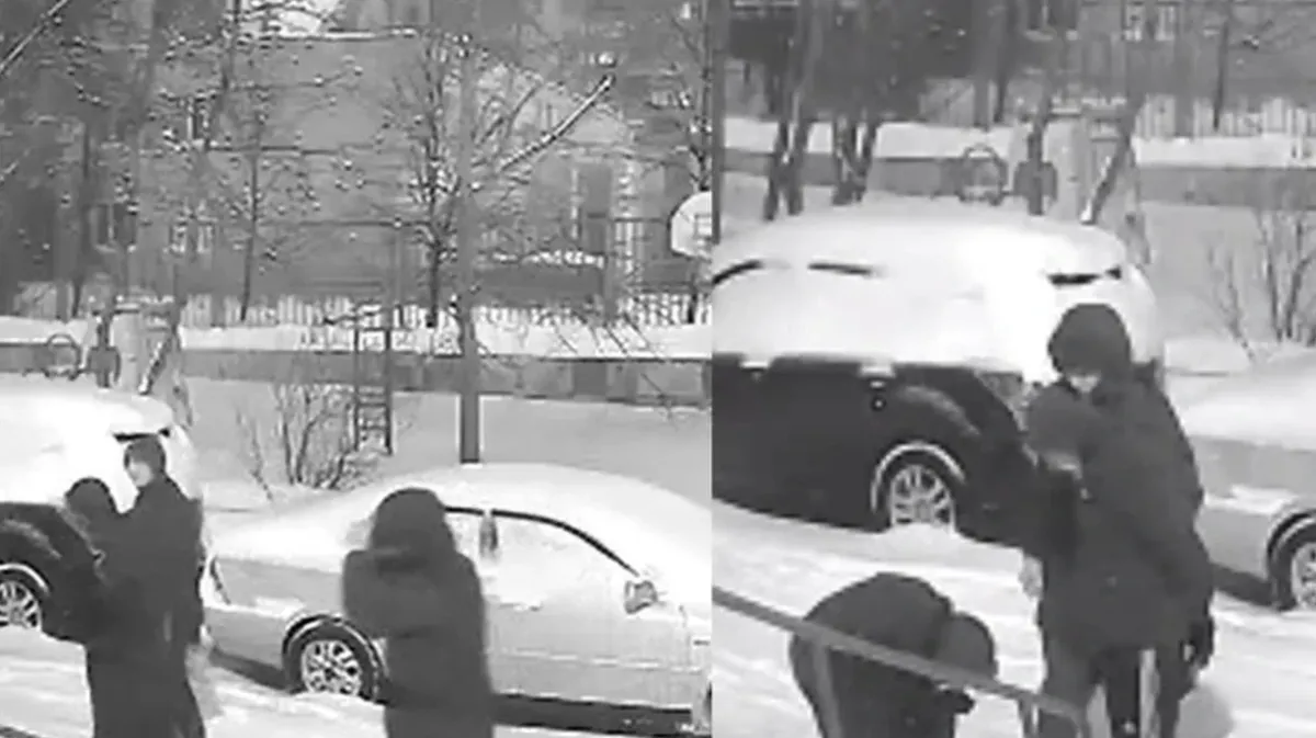 «Я полз, а он меня бил, бил, бил»: Житель Новосибирска сделал замечание копавшимся в снегу мужчинам и оказался избит. Видео

