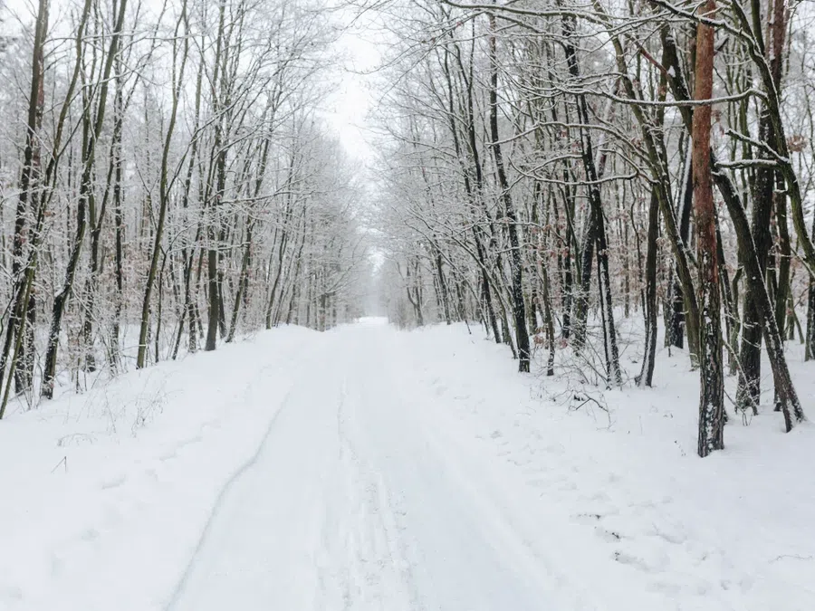 Обычно к 3 декабря на Руси лежала зимняя дорога. Фото: Pxfuel.com