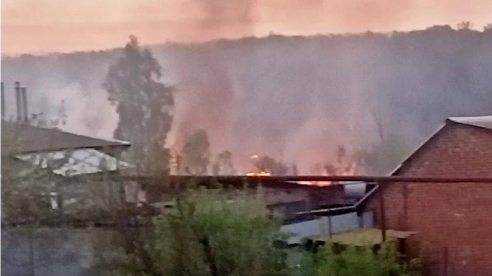 Украина обстреляла село Солохи в Белгородской области. Есть пострадавшие 