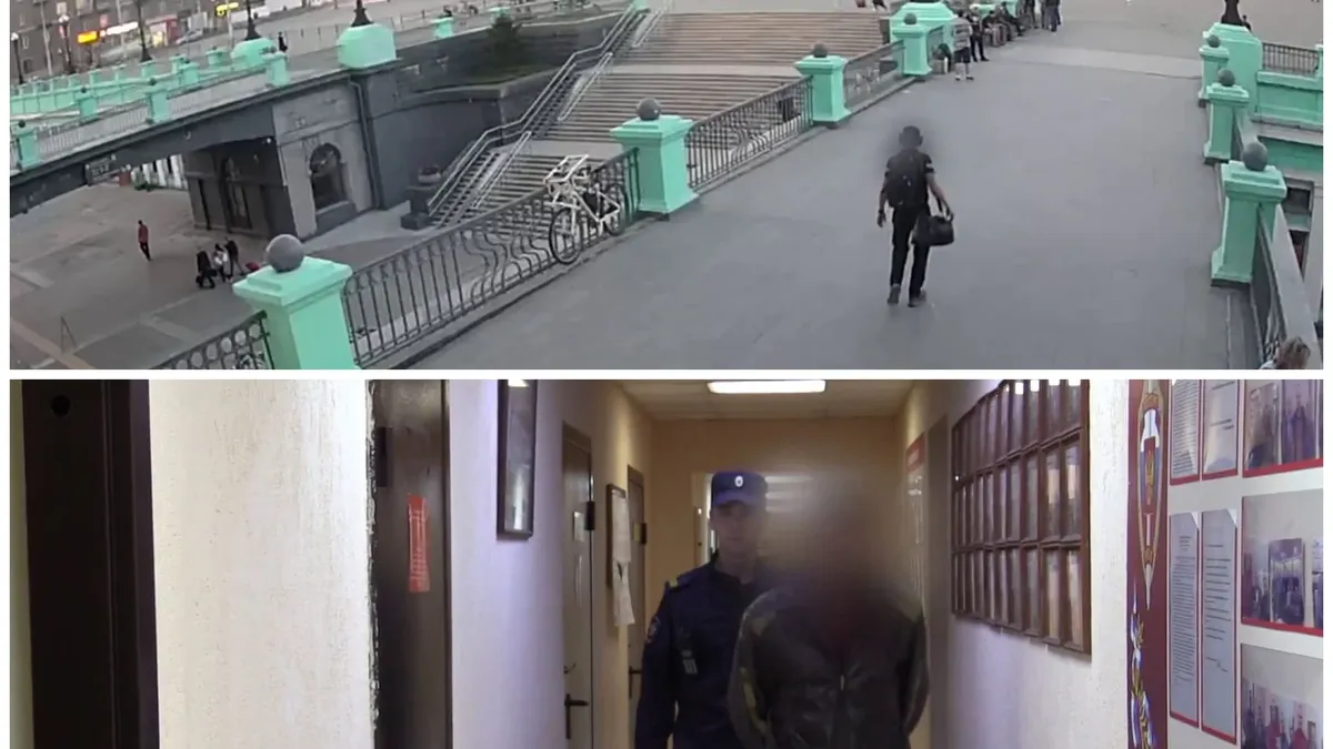 В Новосибирске мужчине грозит девятый уголовный срок в жизни — украл сумку на вокзале