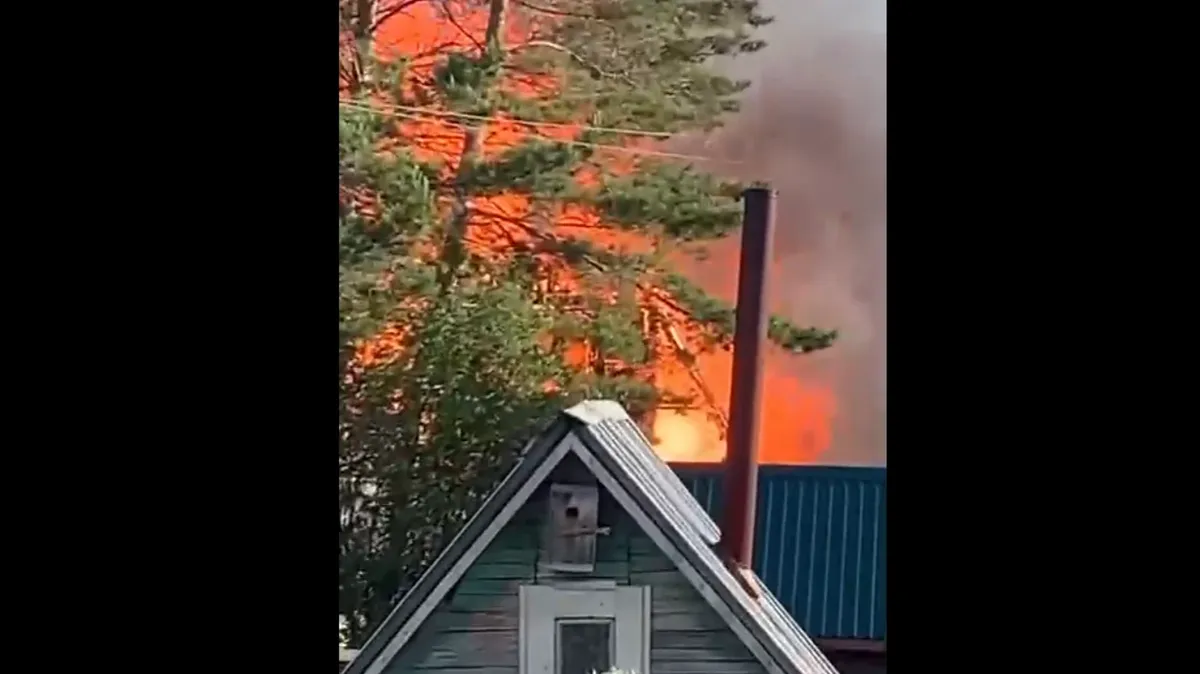 «Весь остров выгорит». На острове Кудряш в Новосибирске загорелся дачный дом