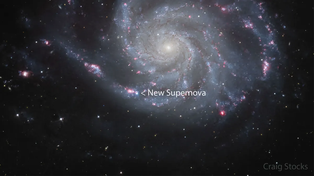 Новая звезда в спиральной галактике М101. Фото: Craig Stocks
