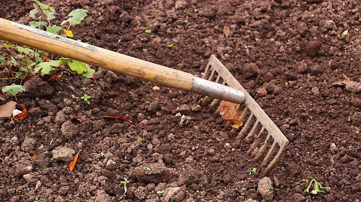 Что будет, если работать на огороде в Чистый четверг 21 апреля: можно ли копать землю, сажать картошку, стирать, мыться. Что сегодня запрещено