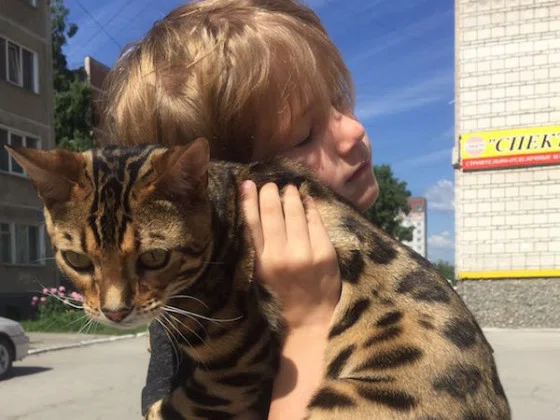 6-летний хозяин кота Миша рад возвращению друга 