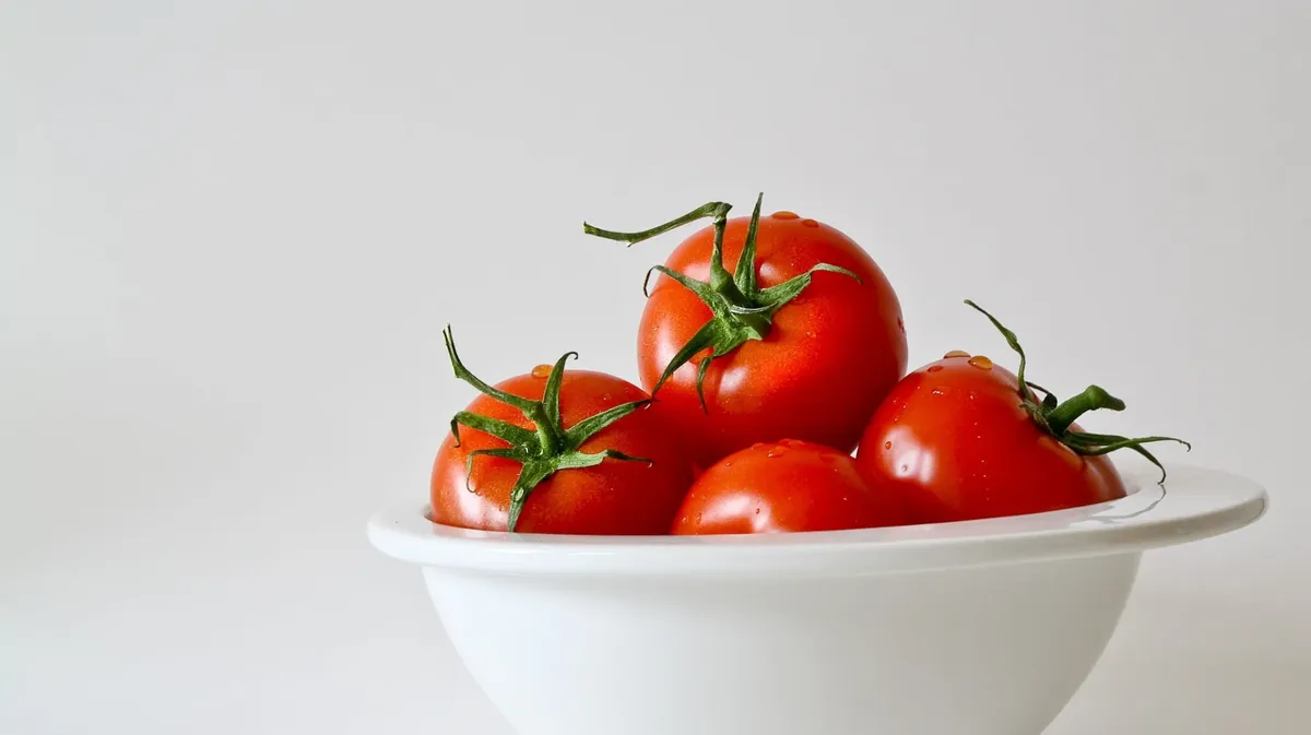 Удачные дни для пересадки томатов в теплицу и открытый грунт по лунному календарю в мае — июне 2021 года