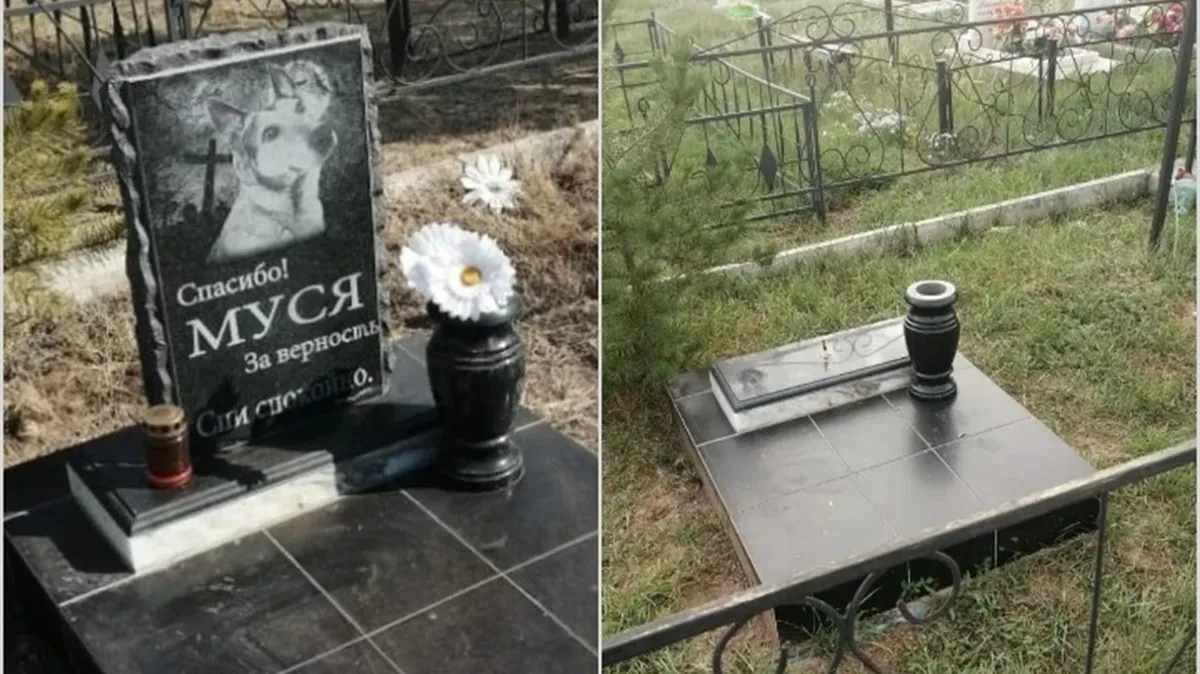 «Отслужила 16 лет» В Хакасии мужчина похоронил собаку Мусю рядом с могилой мамы — требуют убрать тело животного с кладбища