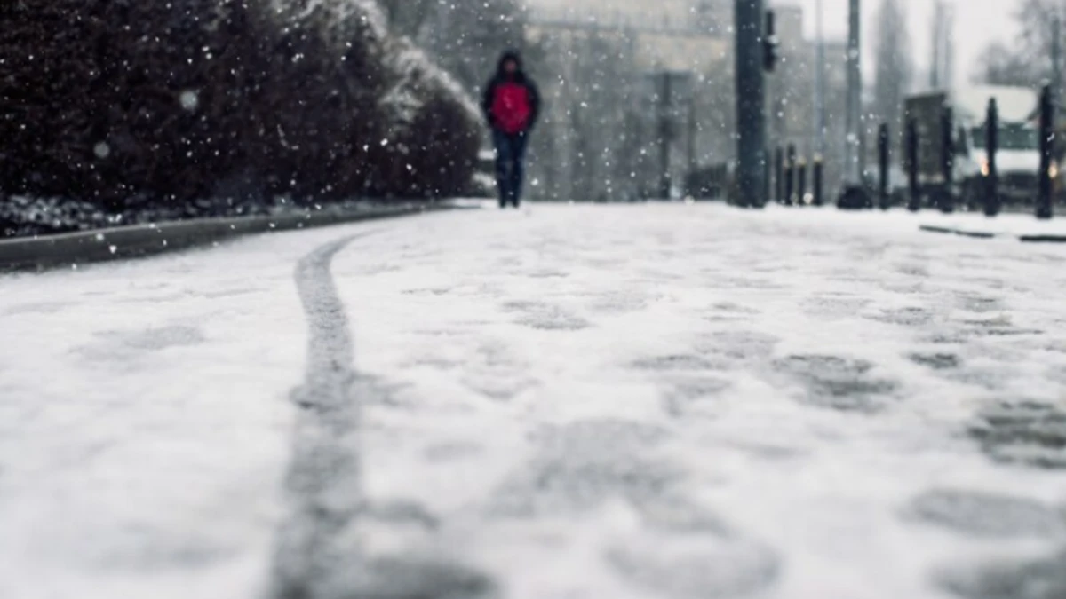По—весеннему теплый февраль 2024: погоды для Москвы, Петербурга, Новосибирска на месяц – где начнет таять снег 