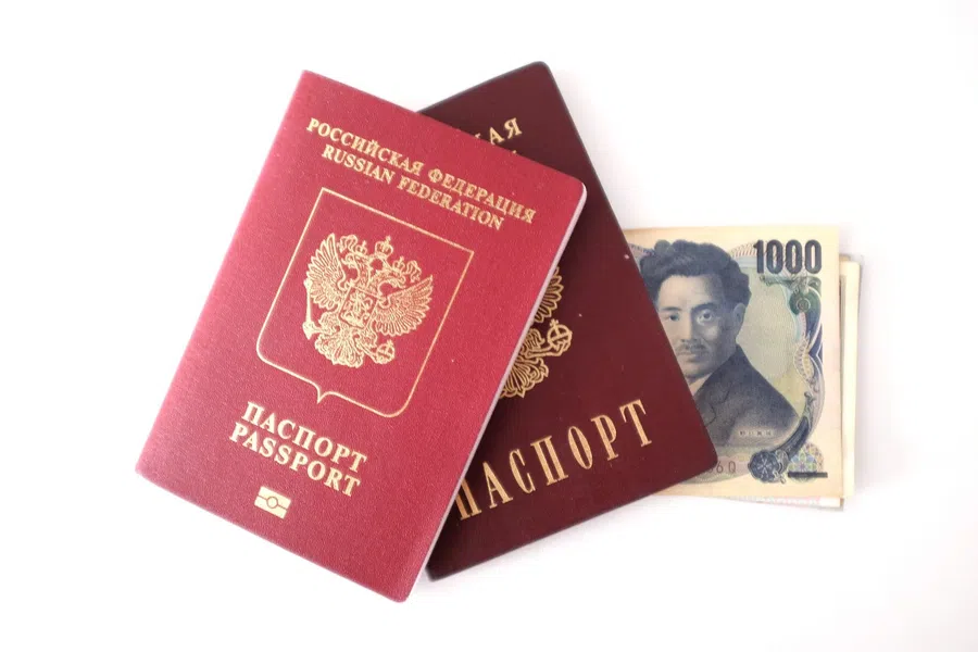 Графа "национальность" может вернуться в паспорт России