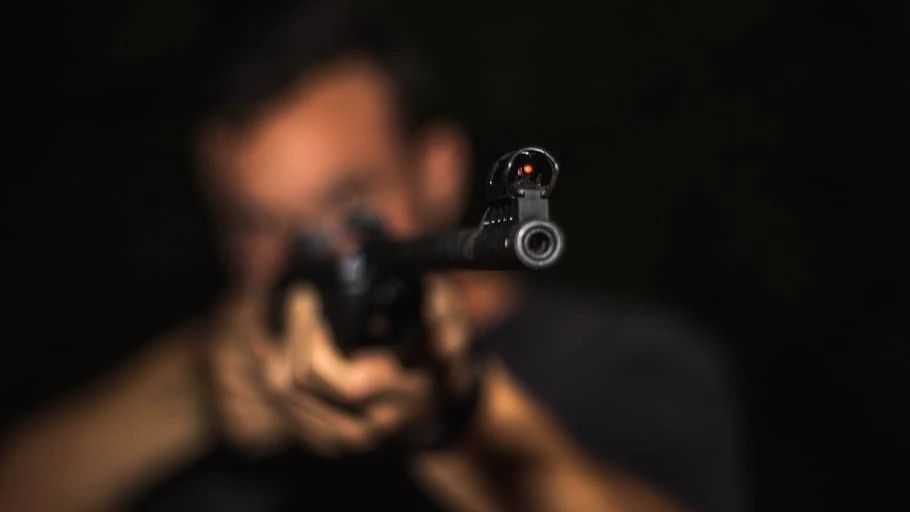В Бердске 41-летнего мужчину, выстрелившего в соседа по даче, заключили под стражу. Фото: piqsels.com