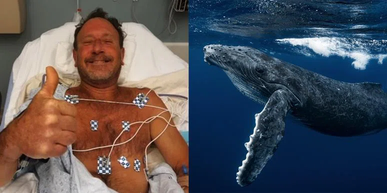 Что увидел в пасти кита Майкл Паккард, рассказал всему миру его сын