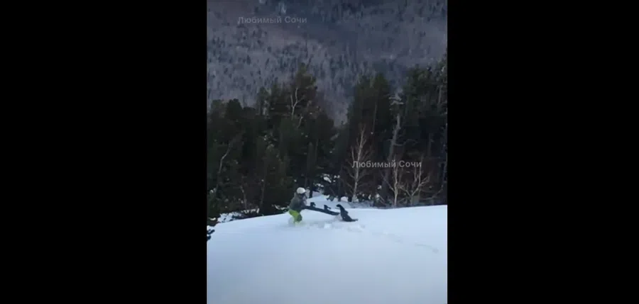 В Сочи на сноубордиста напал агрессивный глухарь за то, что спортсмен нечаянно осыпал птицу снегом