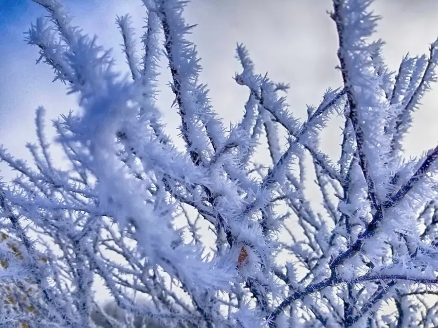 Тепло и снежную кашу на дорогах обещают синоптики для Новосибирской области на 13 и 14 ноября