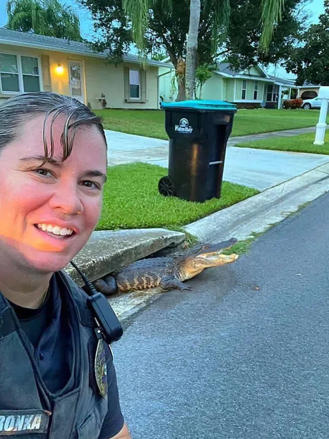 Аллигатор застрял в ливневой канализации: полицейский из Флориды сделал селфи на фоне улыбающегося крокодила