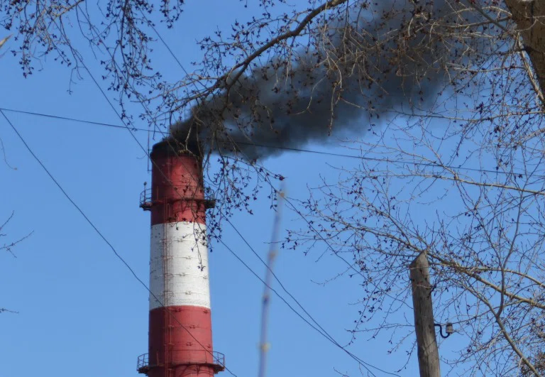 В Бердске заплатили около 7 млн рублей за загрязнение воздуха все предприятия за год