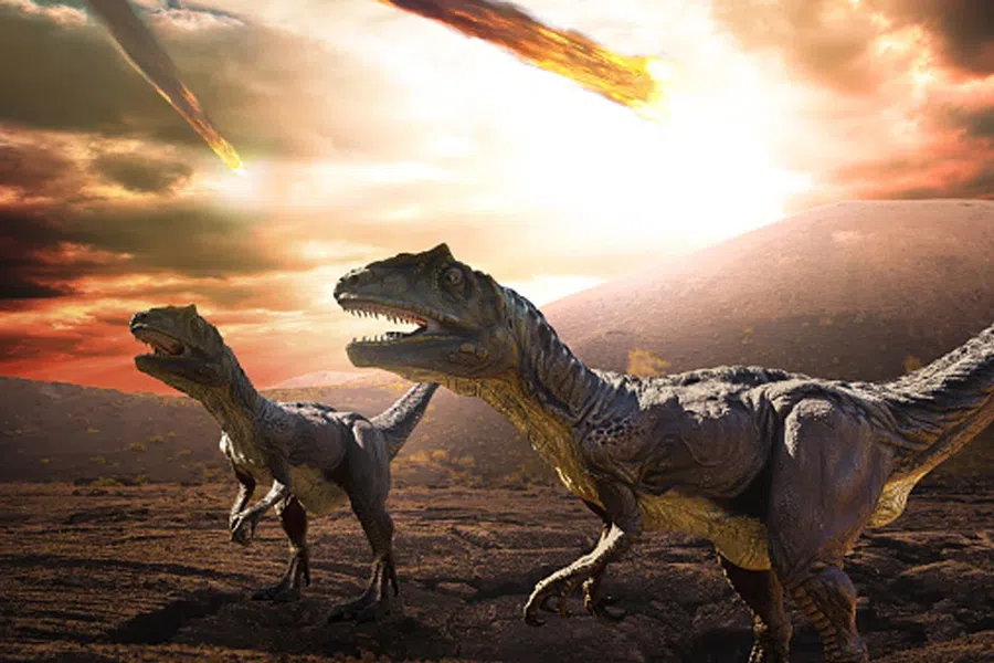 Астероид, уничтоживший динозавров 66 млн лет назад, вызвал на Земле два года тьмы