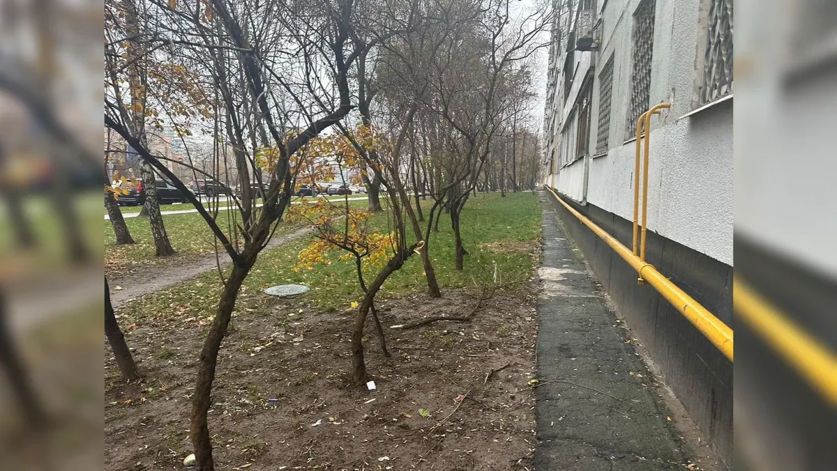 Годовалая девочка, выброшенная матерью с 11 этажа в Москве, умерла в больнице
