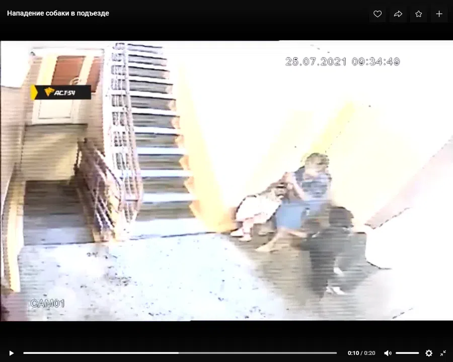 Возле лифта на женщину с ребенком набросился агрессивный пес в Новосибирске. Смотрите видео