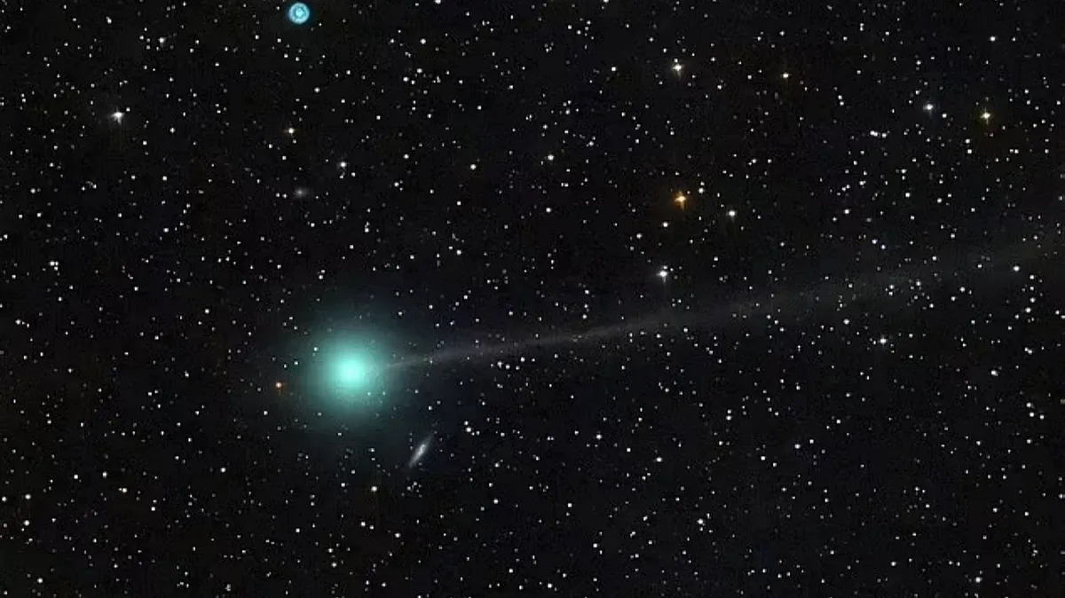 Впечатляющее зрелище: Комета Нисимура была открыта только в прошлом месяце. Фото: Dan Barlett