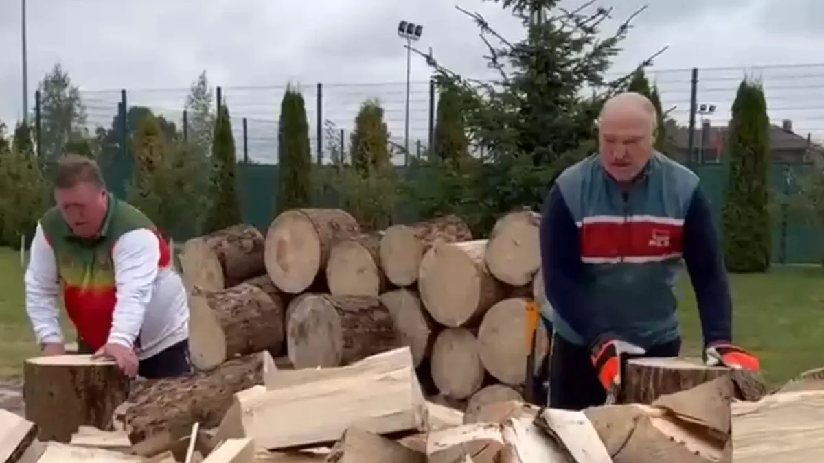 «Не дадим, Семеныч, Европе замерзнуть»: Лукашенко наколол для европейцев дров - видео