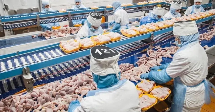 В Набережных Челнах сотрудников мясокомбината контролируют при  помощи номеров на шапочках: Следят за эффективностью работы