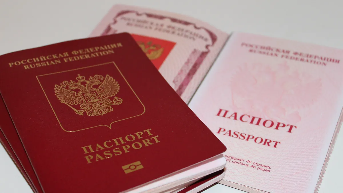 Госдума одобрила изъятие загранпаспортов у уклонистов с повесткой: в каких случаях могут отобрать паспорт или загранник 