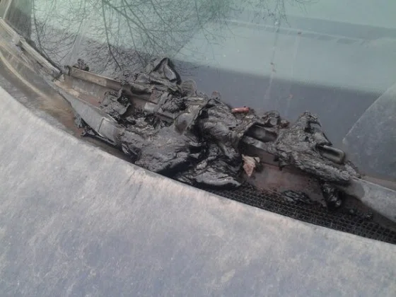 Сгустки крови на дворниках своего автомобиля Егор Савин сначала ошибочно принял за расплавленный пластик 