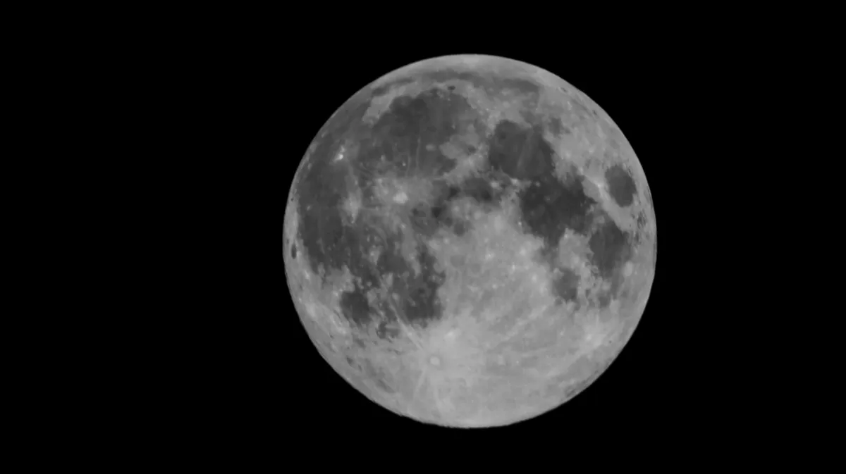 Откуда взялось поверье про оборотней: правда ли животные дичают на Полную Луну